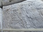 20220929_120940.jpg